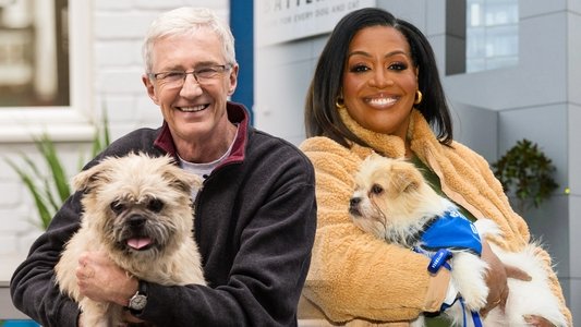 For the Love of Dogs