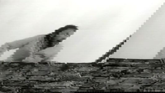 Pericota