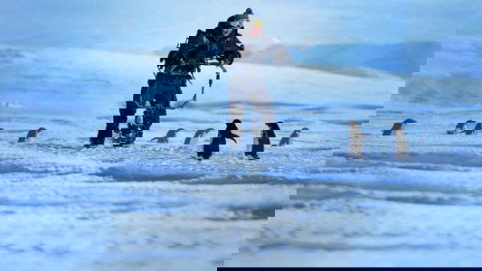 Penguins: Life on the Edge