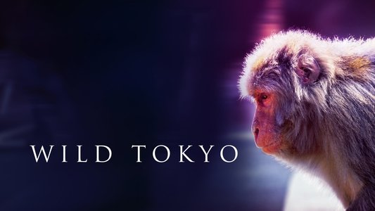 Wild Tokyo