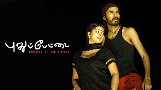 புதுப்பேட்டை
