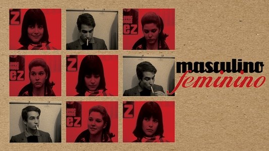 Masculin féminin