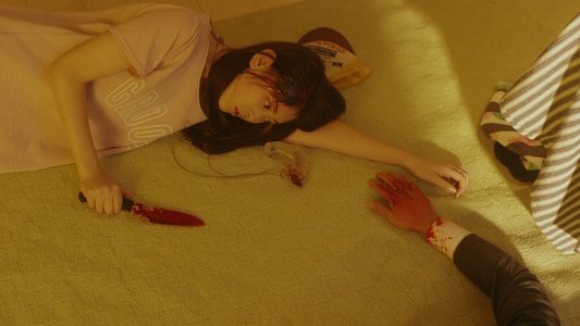 不能犯