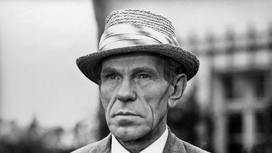 Sami swoi