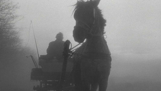 Война и мир