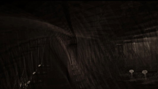 The Somnambulist