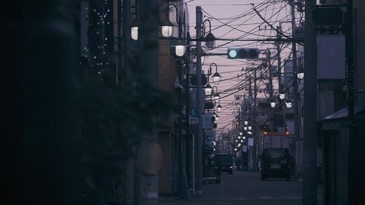 東京の雪男