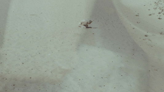 Blessed Are Those Who Grieve