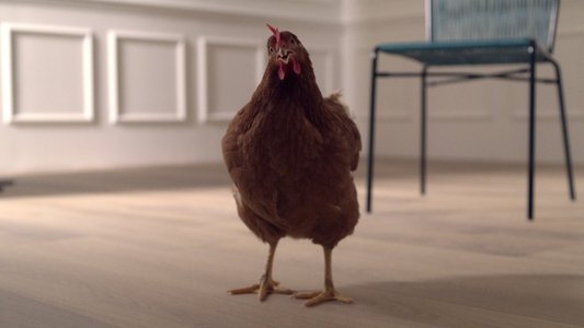 L’occhio della Gallina