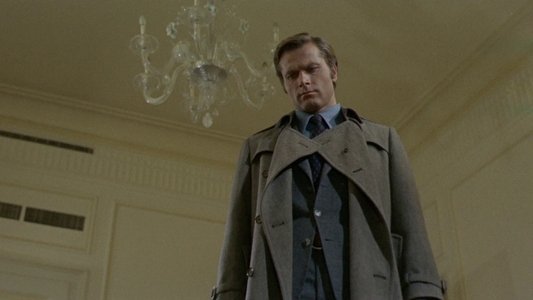 Un detective