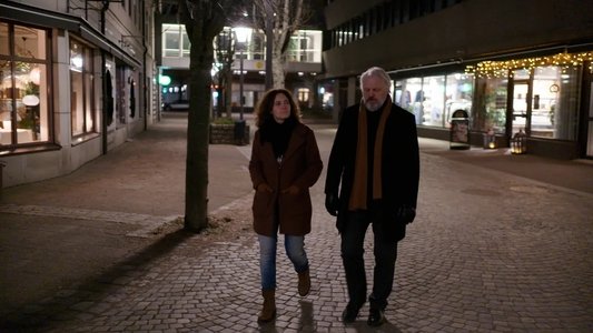 I brottets spår: Fallet Tove