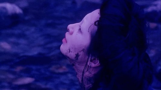 双生児 -GEMINI-