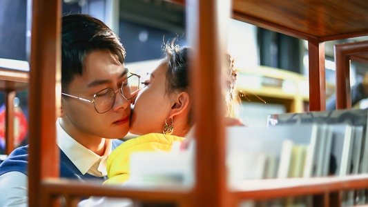 柠檬树上你和我