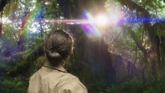 Annihilation