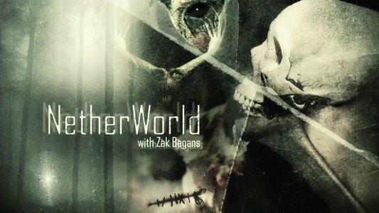 NetherWorld: Exploring Paris Catacombs