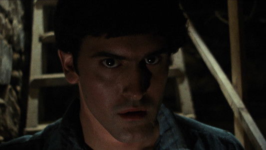 The Evil Dead