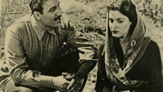 ჩრდილი გზაზე