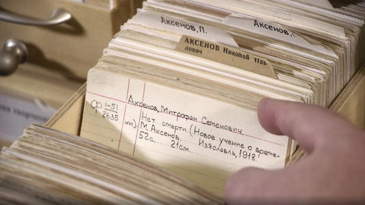 Колбаса Митрофана Аксенова