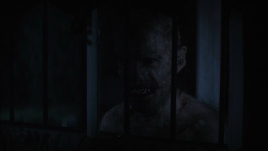 Wolf Man