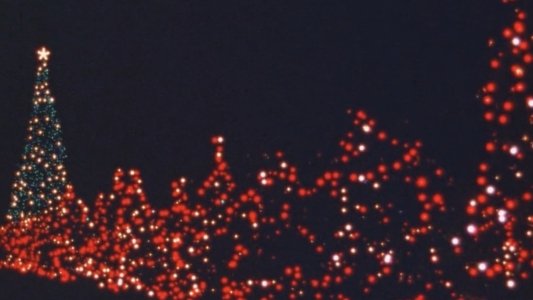 The National Christmas Tree, A Century of Celebration