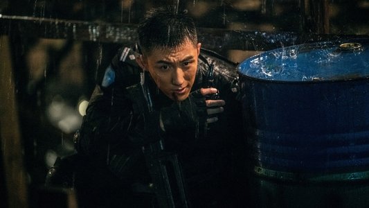 维和防暴队