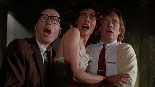 Guest House Paradiso