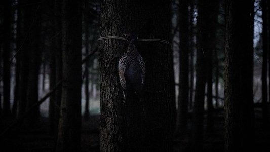 Bambi: The Reckoning