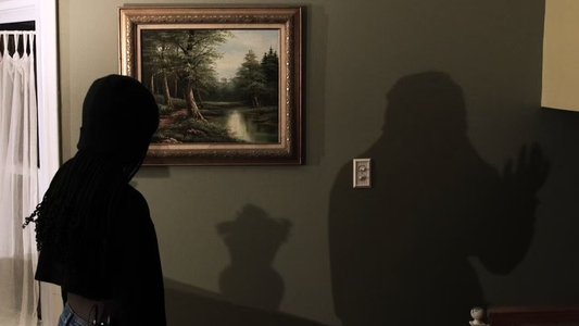 Sentient Shadows