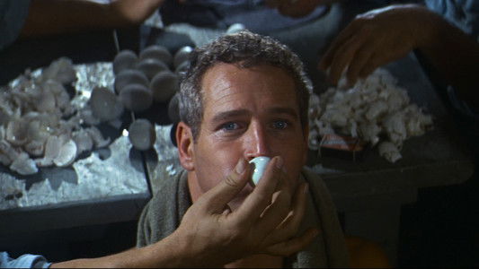 Cool Hand Luke