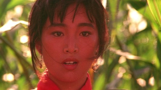 红高粱