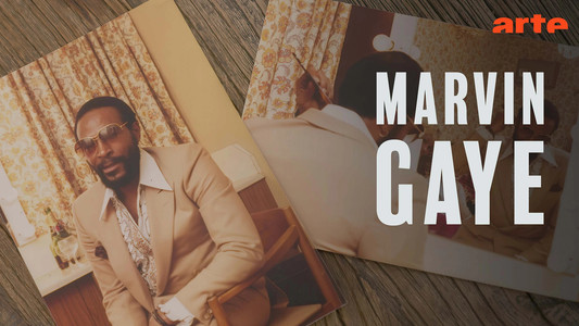 Marvin Gaye - Visionär des Soul