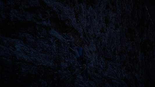 Безумные подражатели