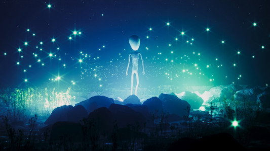 Steven Wilson - The Overview