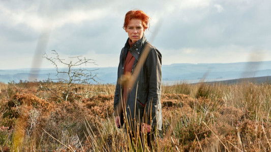 Charlotte Link - Die Suche