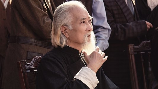 叶问宗师觉醒