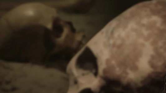 Danmarkshistorien på vrangen