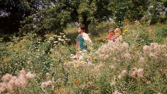 Le Bonheur