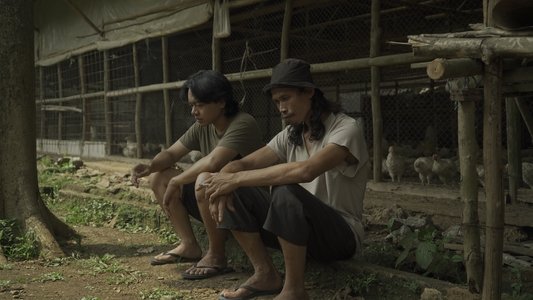 Ayam Maya