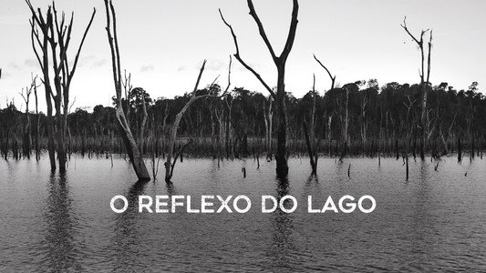 O Reflexo do Lago