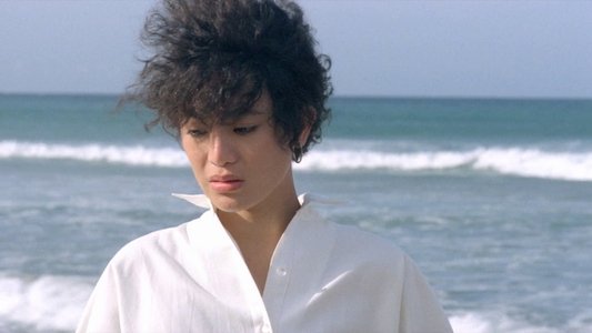 海灘的一天