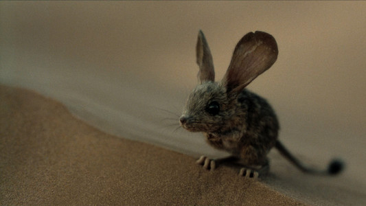 Dune