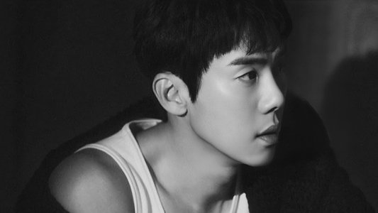 사랑의 이해