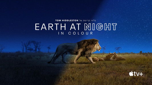 Earth at Night in Colour