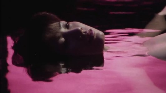 XX 美しき機能