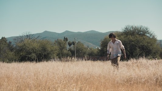 El Jardin