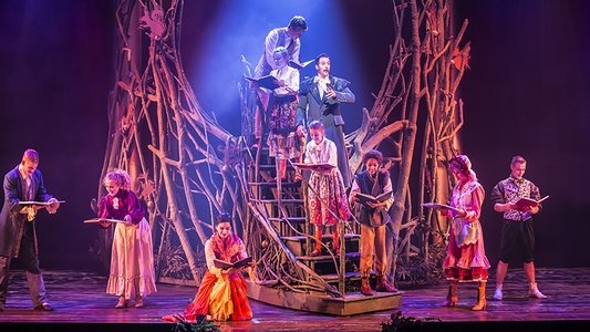 Sprookjessprokkelaar De Musical