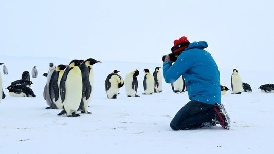 Antarctica, sur les traces de l'empereur