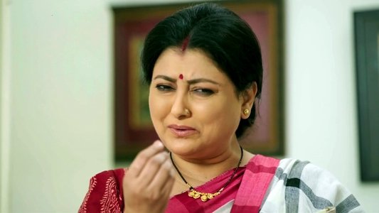 জামাই এল ঘরে