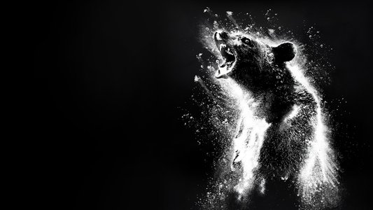 Cocaine Bear