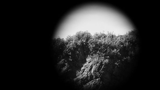 Trapallada (Saudade)